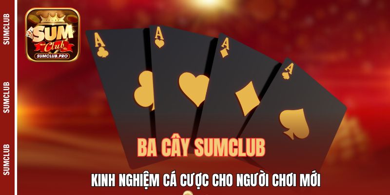 Ba cây Sumclub - Kinh nghiệm cá cược cho người chơi mới 1 Ba Cây Sumclub - Kinh Nghiệm Cá Cược Cho Người Chơi Mới