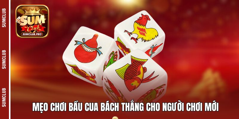 Bầu cua Sumclub - Siêu phẩm giải trí đáng thử nhất 4 Mẹo chơi Bầu Cua bách thắng cho người chơi mới