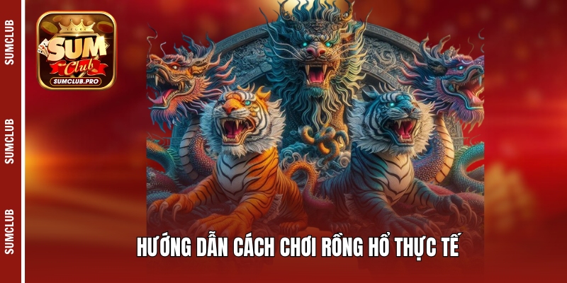 Cách chơi Rồng Hổ chuẩn xác và mẹo chiến thắng trò chơi 3 Hướng dẫn cách chơi Rồng Hổ thực tế