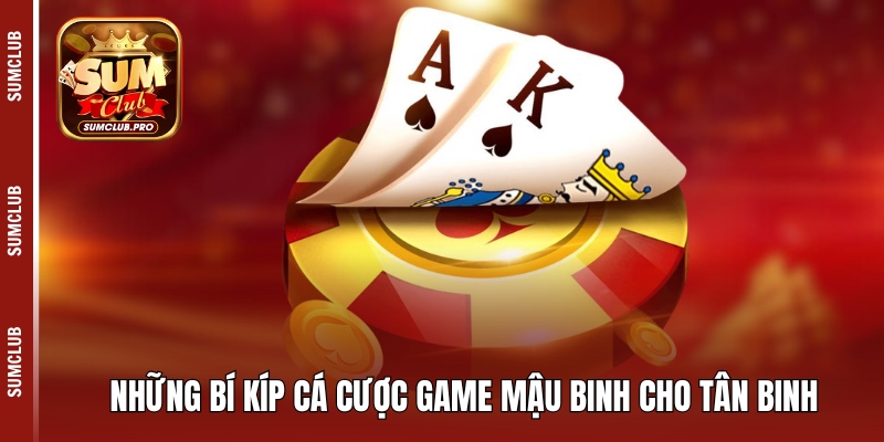 Mậu binh Sumclub - Hướng dẫn cách chơi và bí kíp thắng lớn 5 Những bí kíp cá cược game mậu binh cho tân binh