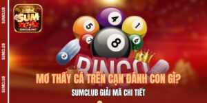Mơ Thấy Cá Trên Cạn Đánh Con Gì? Sumclub Giải Mã Chi Tiết