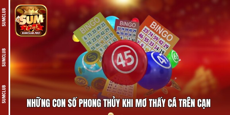 Những con số phong thủy khi mơ thấy cá trên cạn